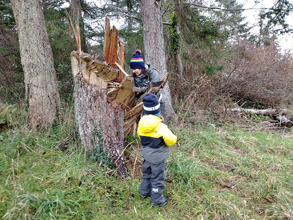 des enfants recueillent de la sève dans un tronc d’arbre