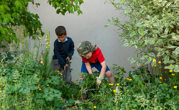 children working in a garden scape
