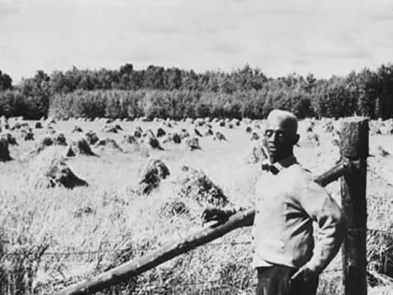 Image 2: Historical black and white photo with upper torso of farmer J.D. Edwards beside an Amber Valley grain field.