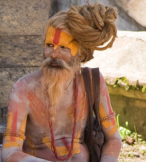image 4: South Asian Sadhu with dreadlocks