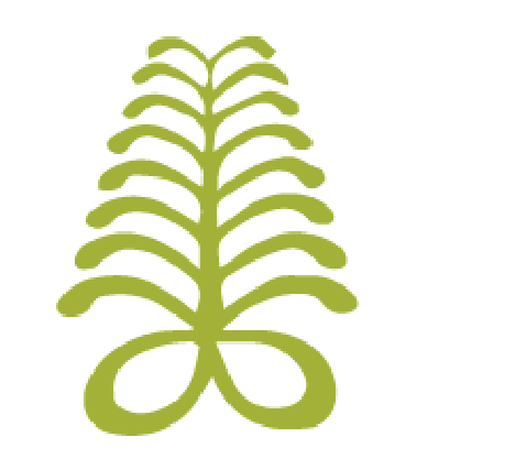 Aya symbol: image of fern that means perseverance, and resourcefulness