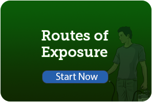 Routes of Exposure